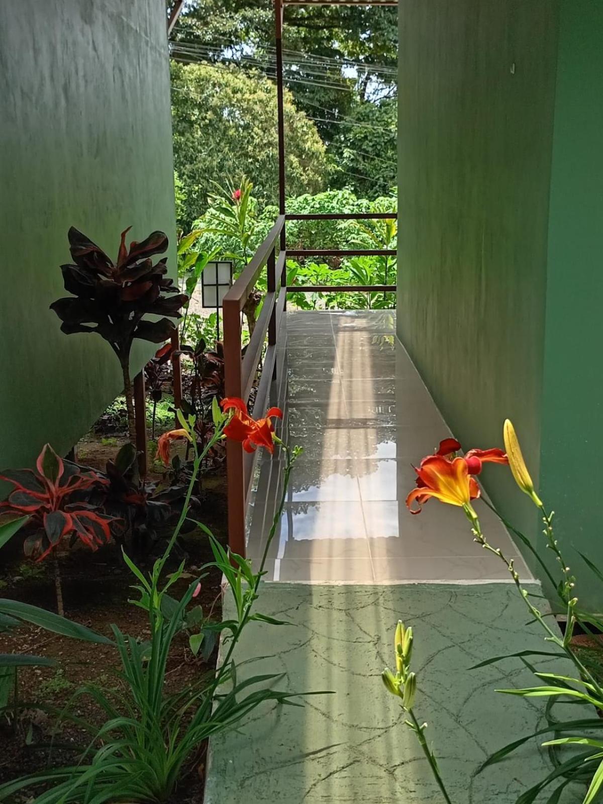 La Fortuna Encanto Arenal Lodge מראה חיצוני תמונה